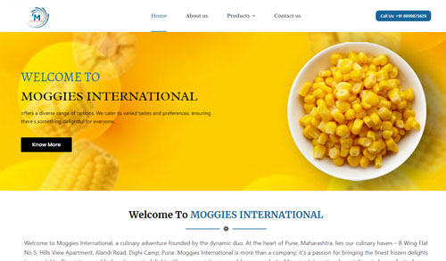 Travel Agency Website